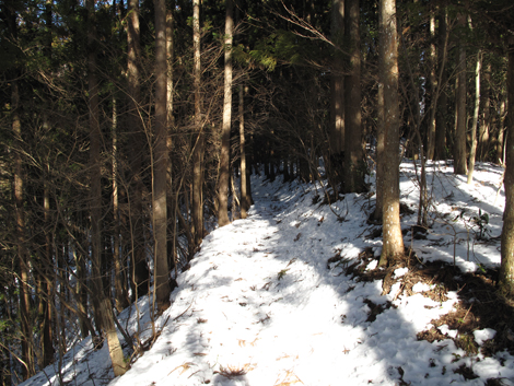 20180126hike (274)